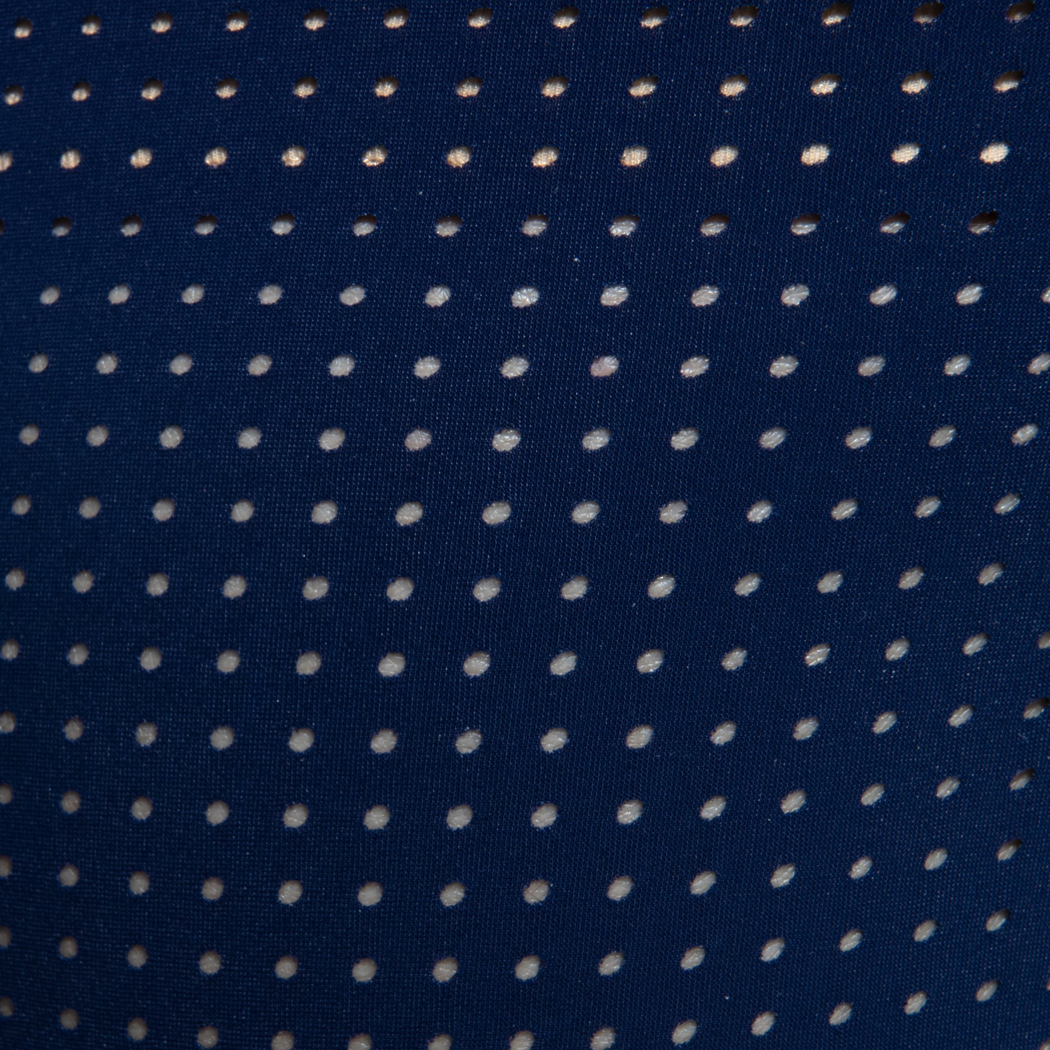 AD Fetish Excite Mesh Bikini Navy ADF202