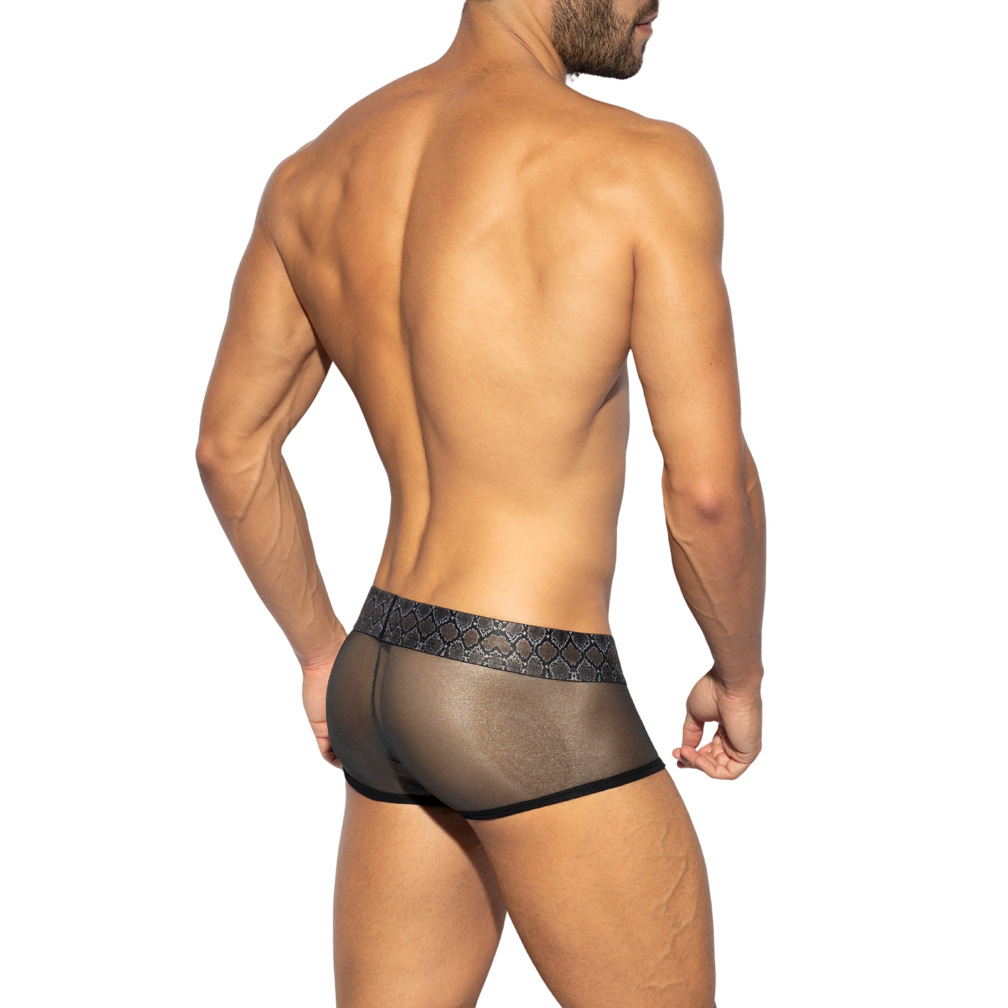 ES Collection Golden Age Trunk Gold UN497