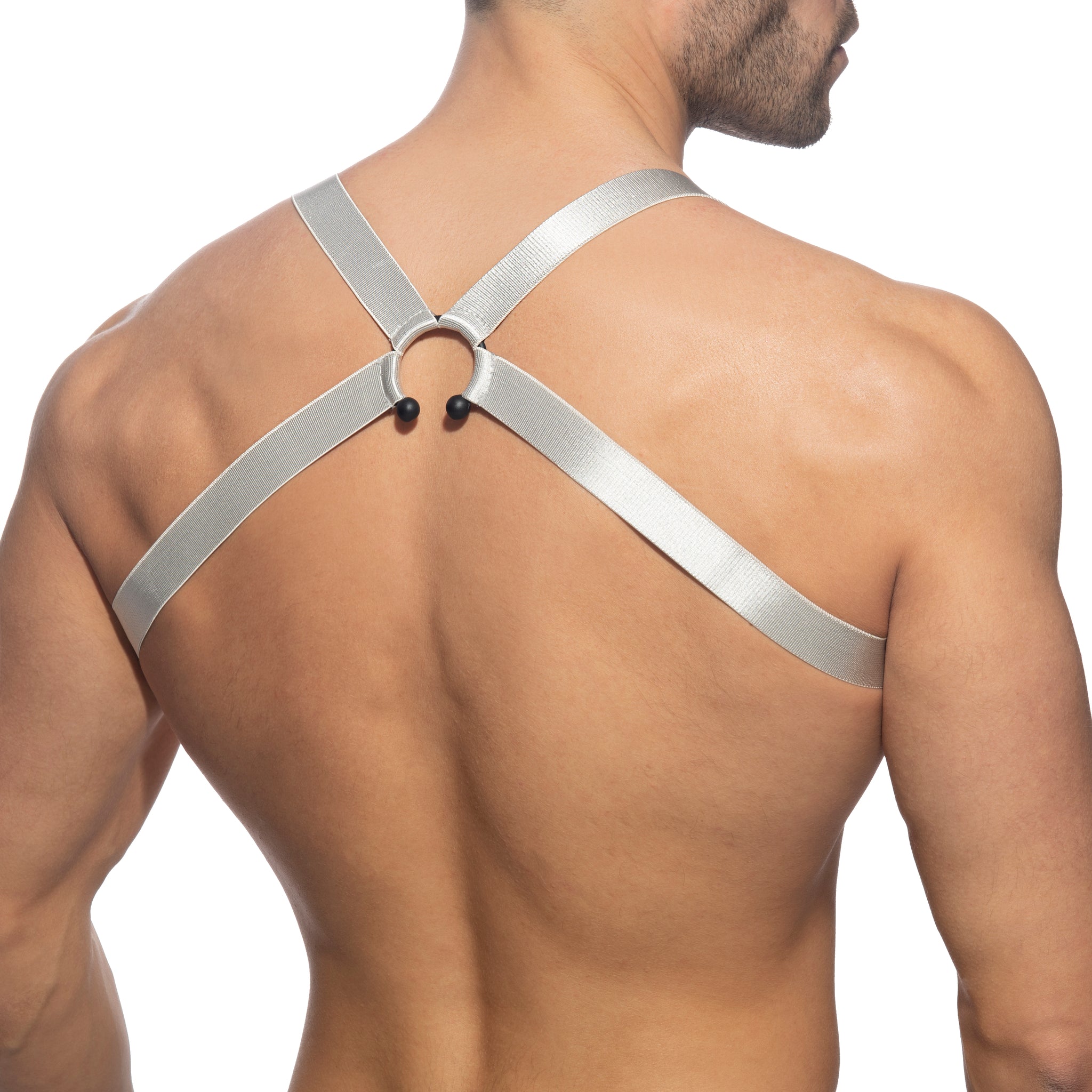 Addicted Bull Ring Harness Silver AD1080
