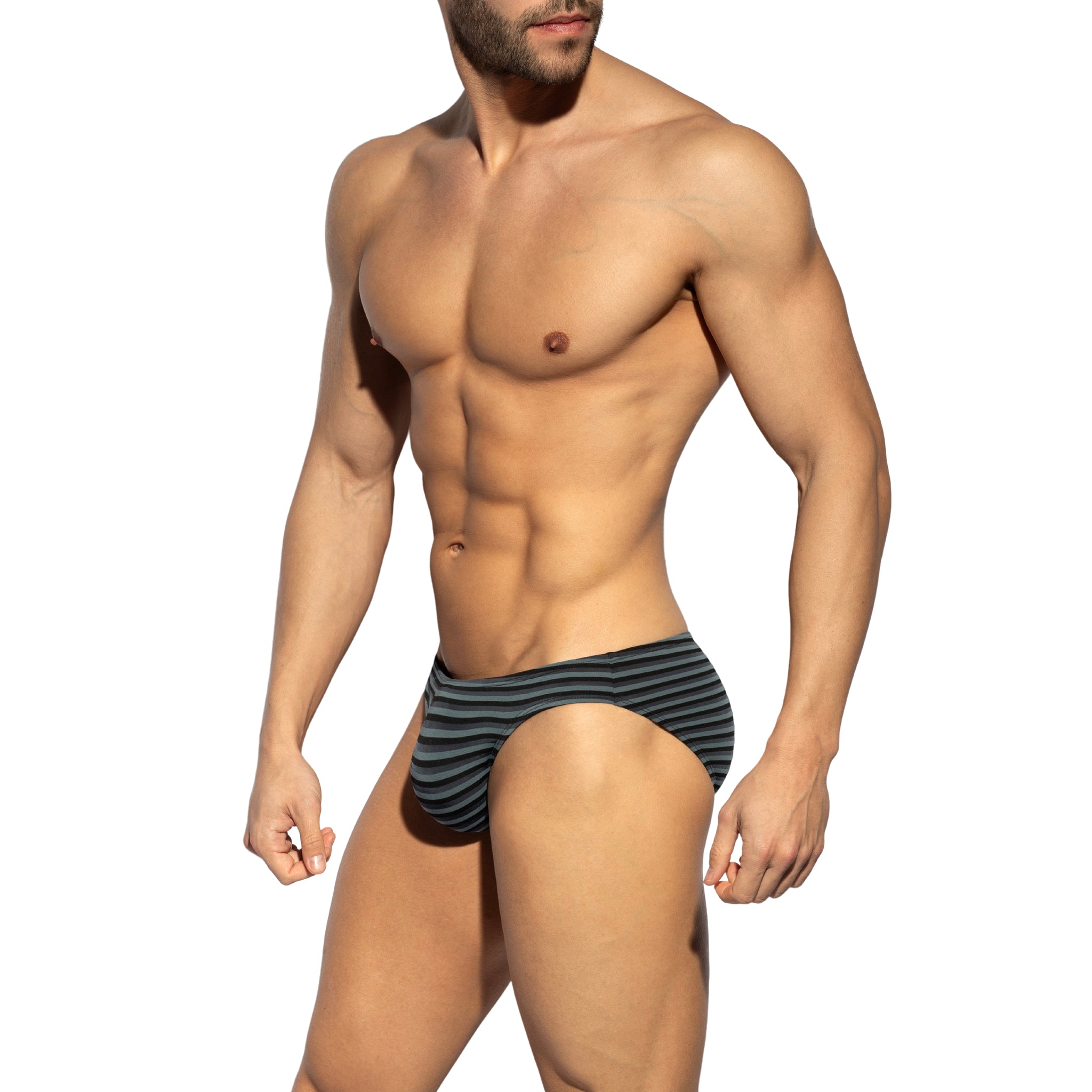 ES Collection Grey Stripes Bikini Brief Black UN613