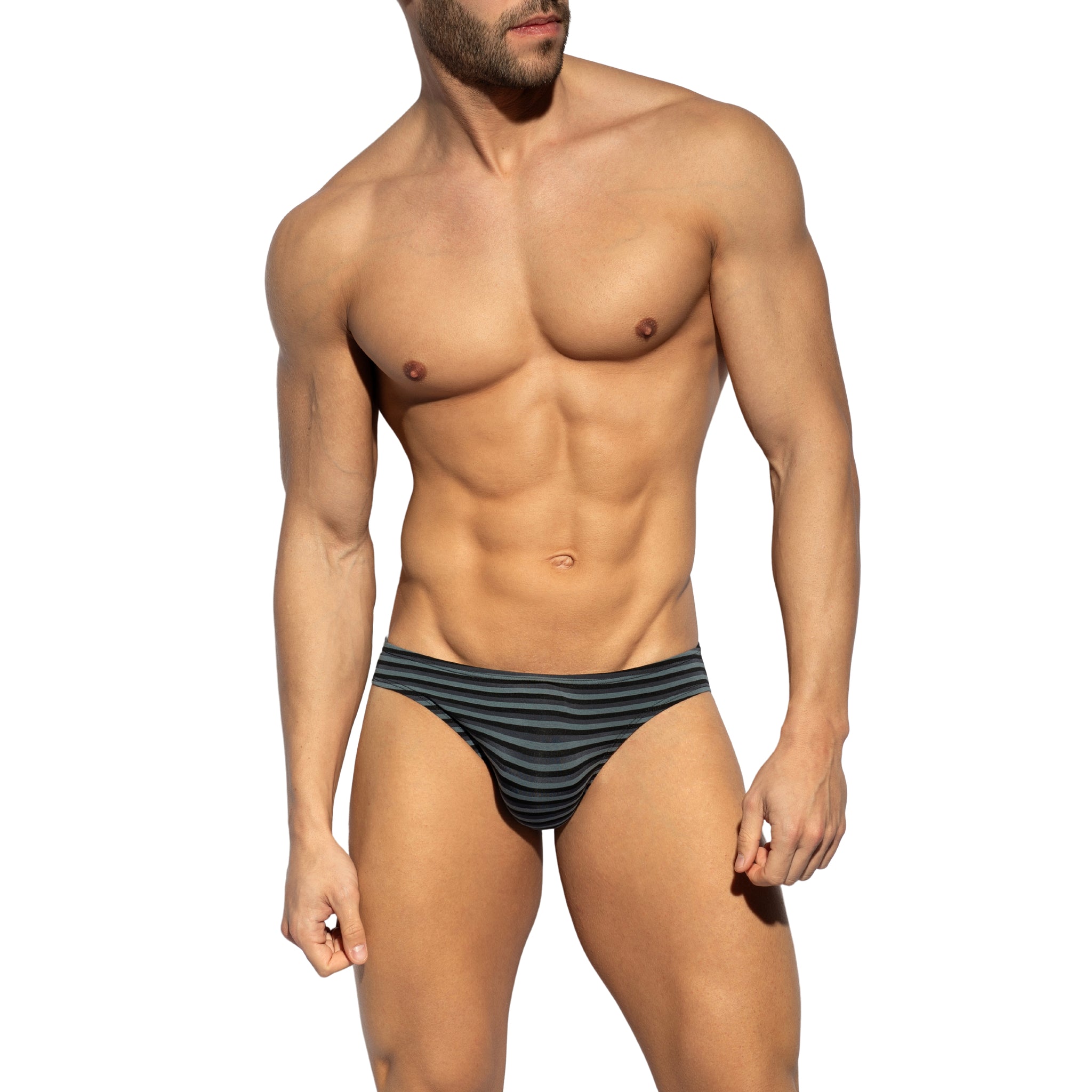 ES Collection Grey Stripes Bikini Brief Black UN613