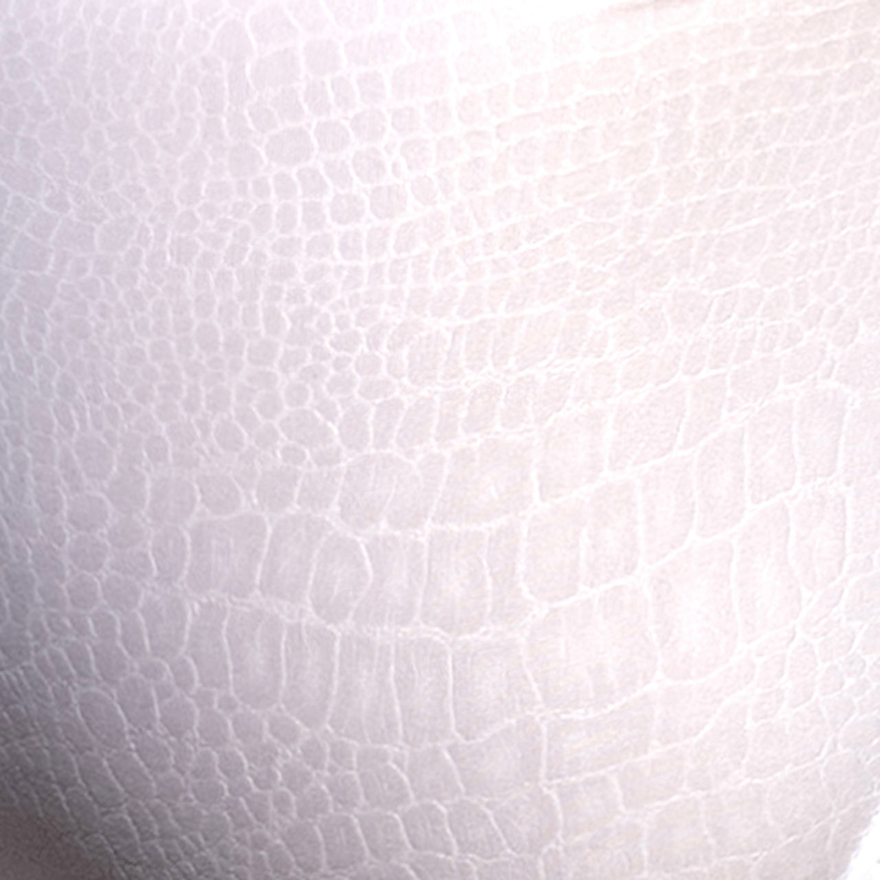 Addicted Reptile Bikini Brief White ADP09