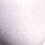 Addicted Reptile Bikini Brief White ADP09