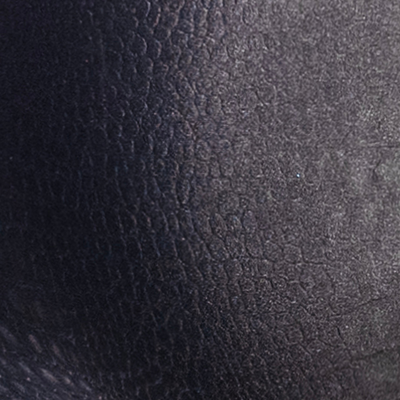 Addicted Reptile Bikini Brief Black ADP09