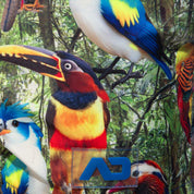 Addicted Exotic Birds Swim Shorts Black ADS355