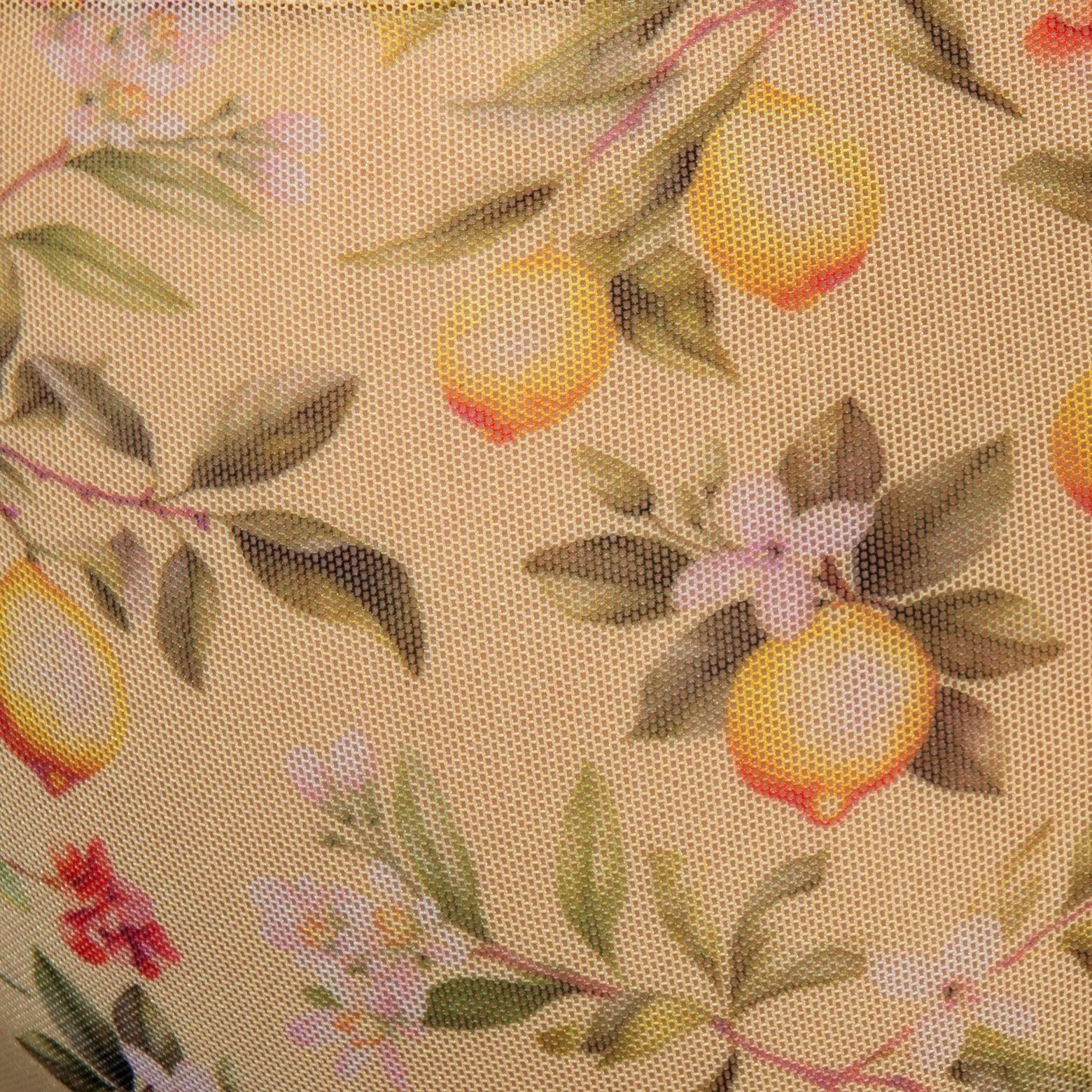 Addicted Lemon Garden Bikini Brief Yellow AD1371