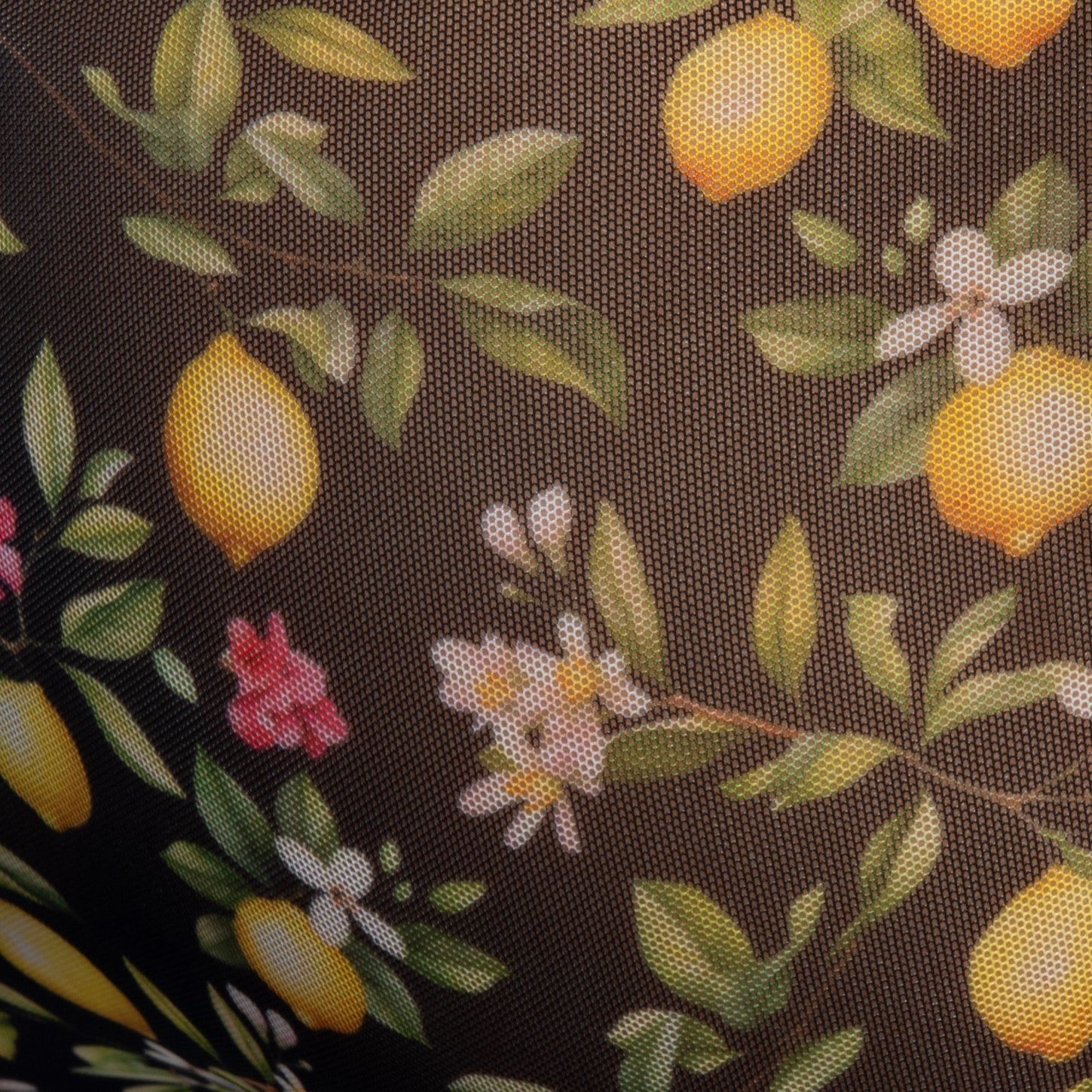 Addicted Lemon Garden Bikini Brief Black AD1371