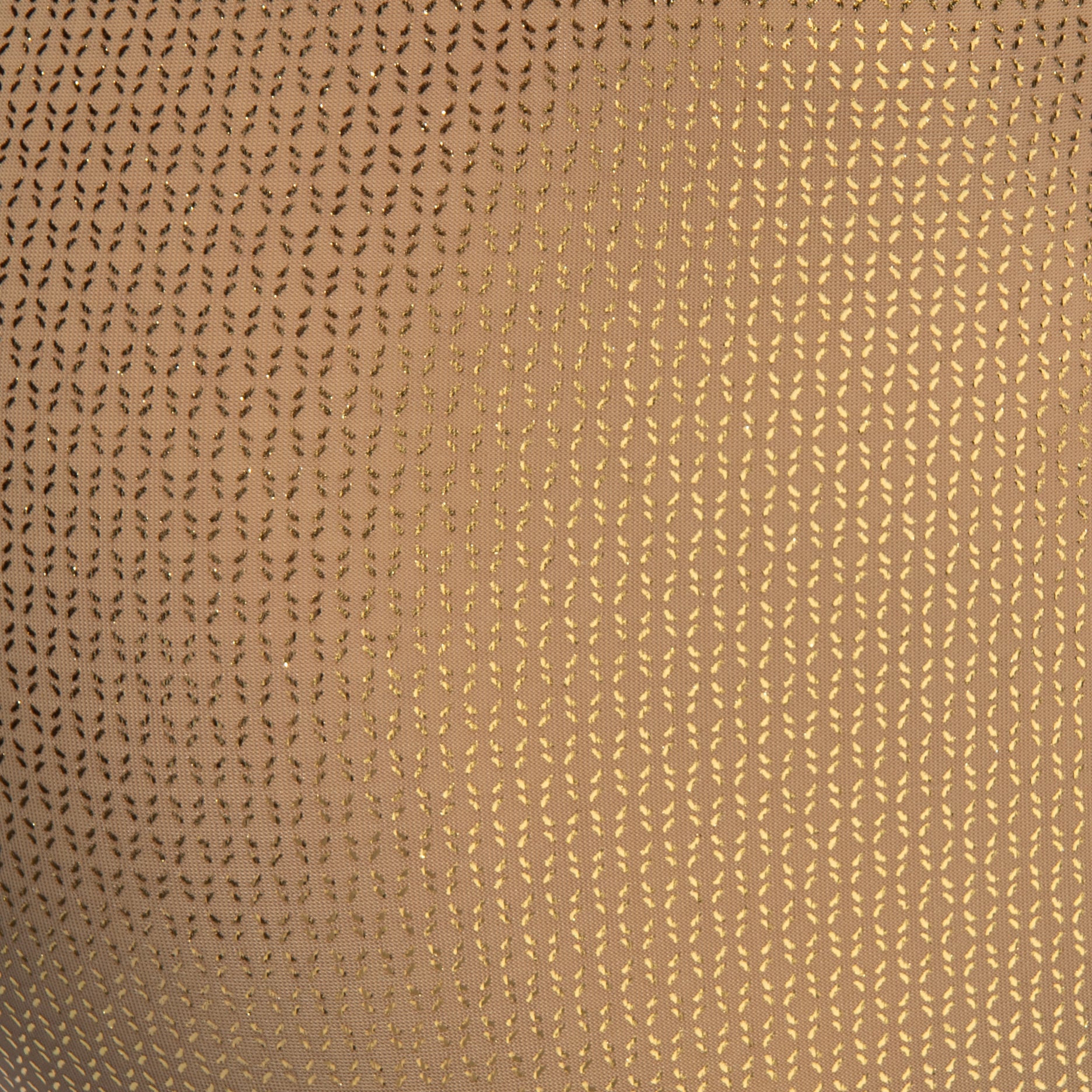 ES Collection Radiant Gold Bikini Brief Beige UN634