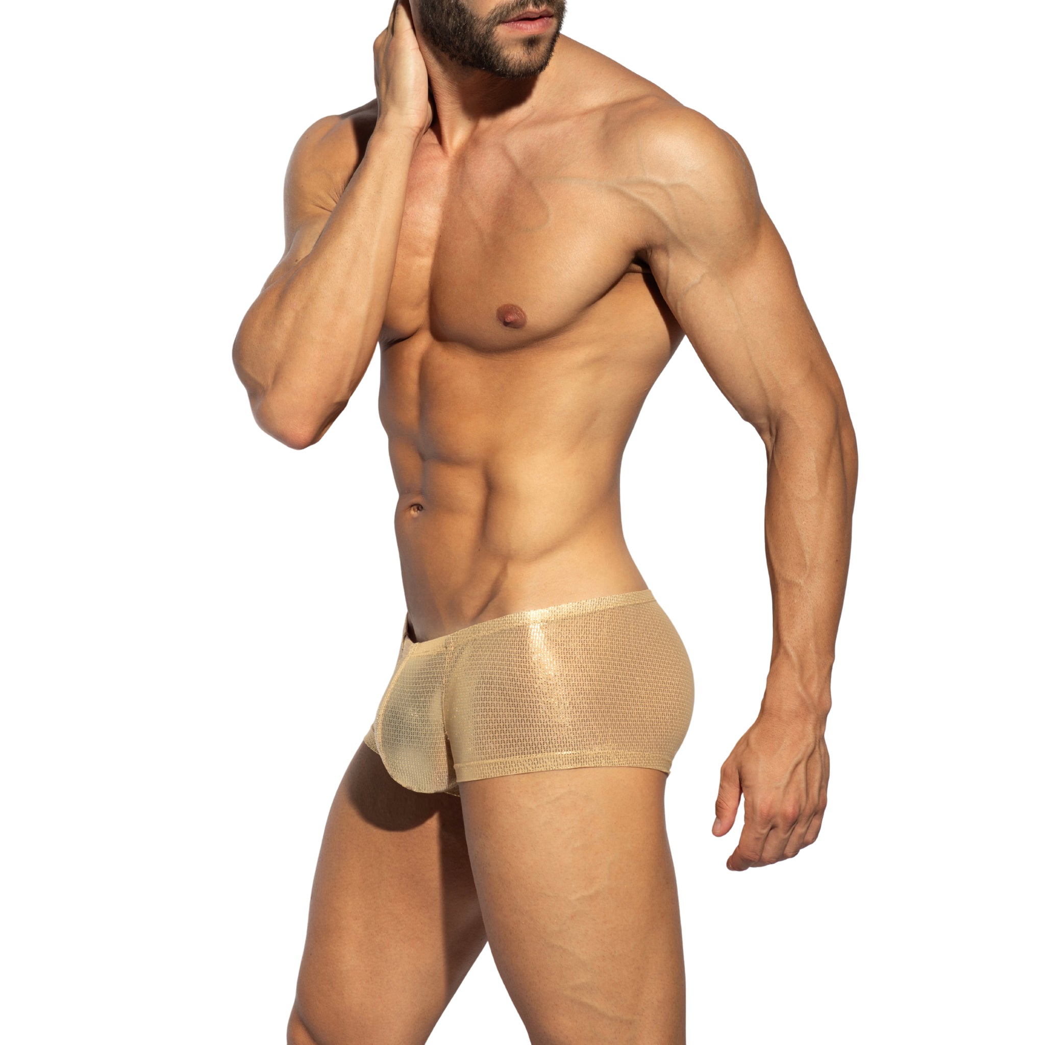 ES Collection Radiant Gold Trunk Beige UN635