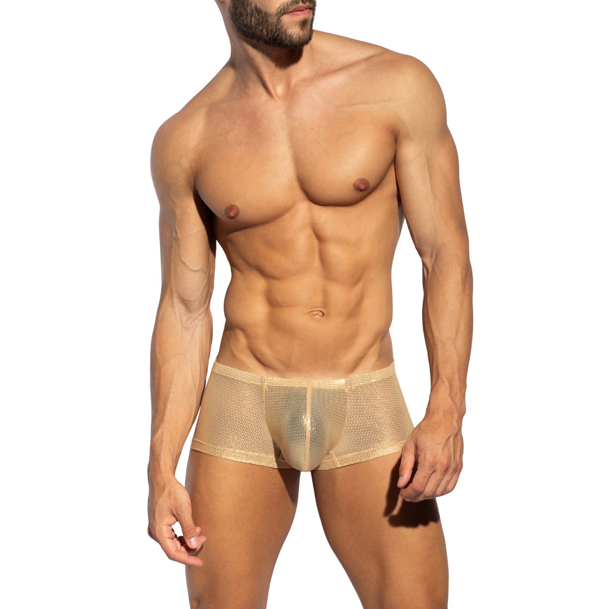 ES Collection Radiant Gold Trunk Beige UN635