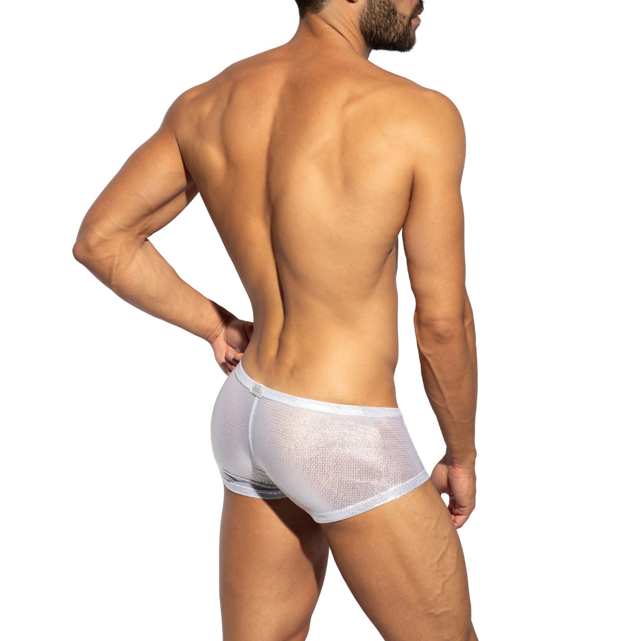 ES Collection Radiant Gold Trunk White UN635