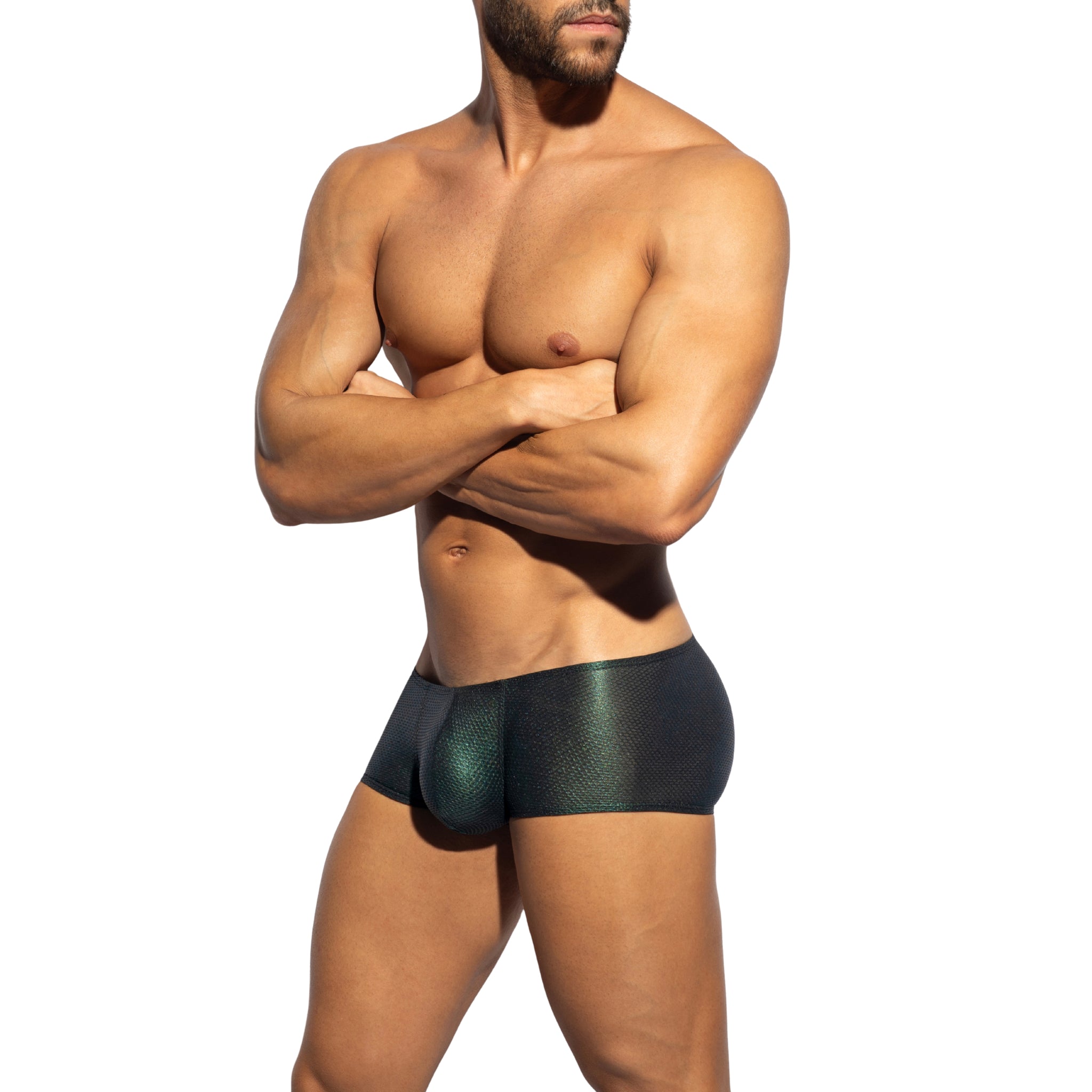 ES Collection C-Through Bee Nest Trunk Green UN648