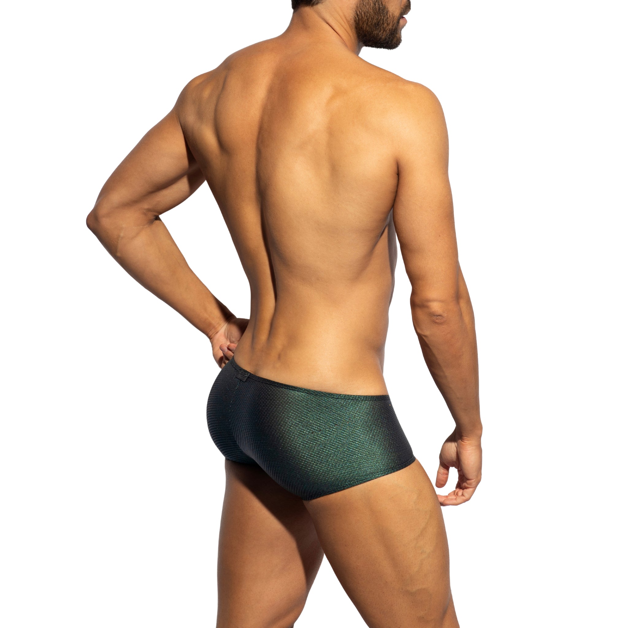 ES Collection C-Through Bee Nest Trunk Green UN648