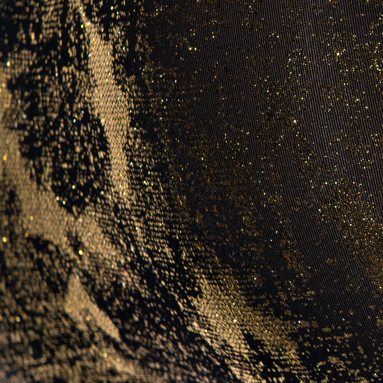 ES Collection Gold + Gold Bikini Brief Black UN657