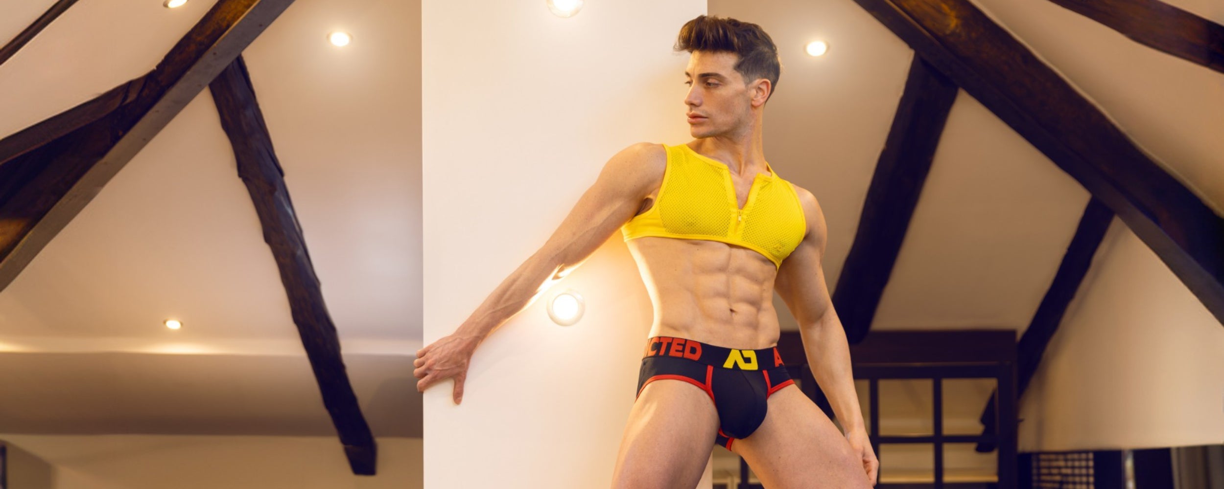 Briefs