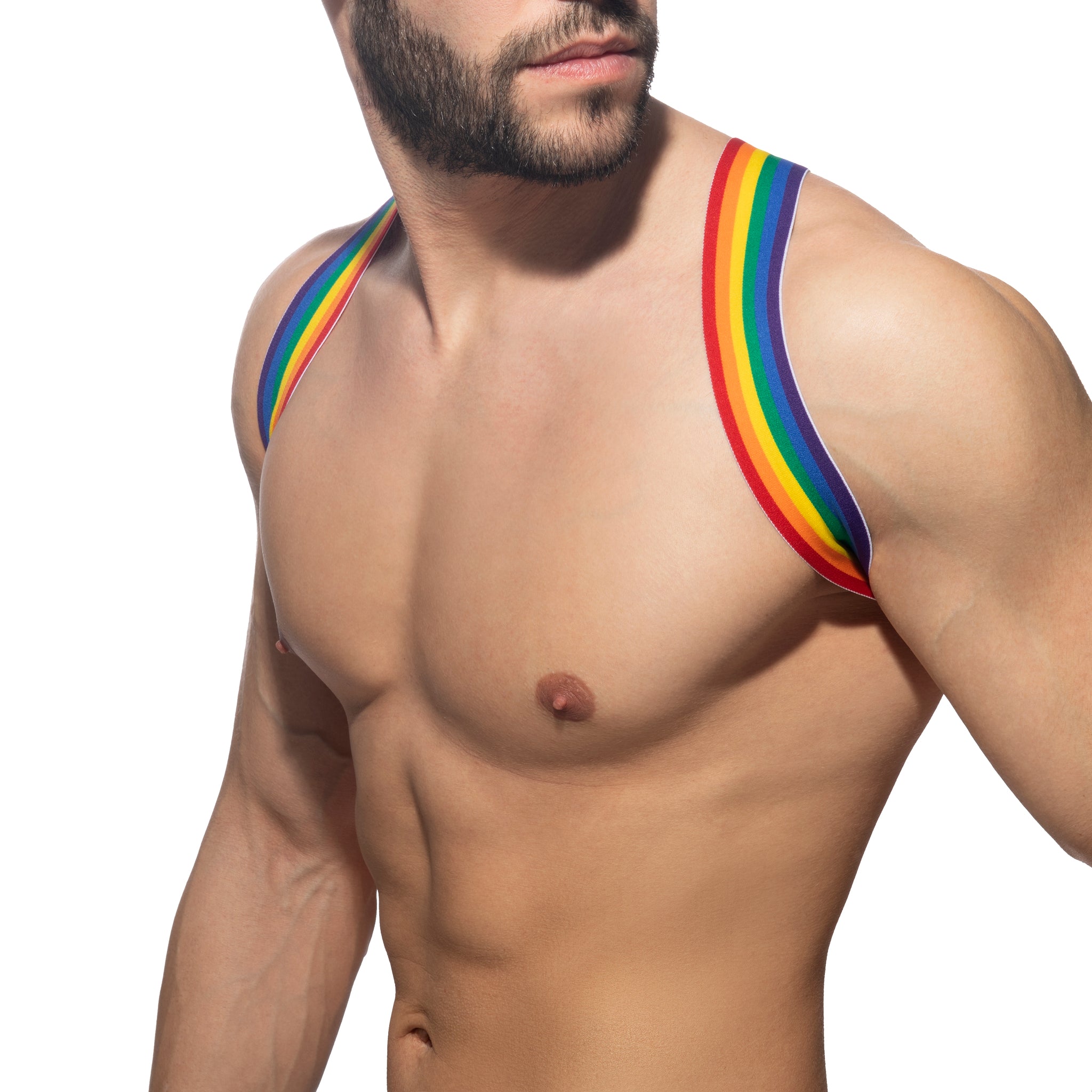 Addicted Rainbow Spider Harness Rainbow AD1181