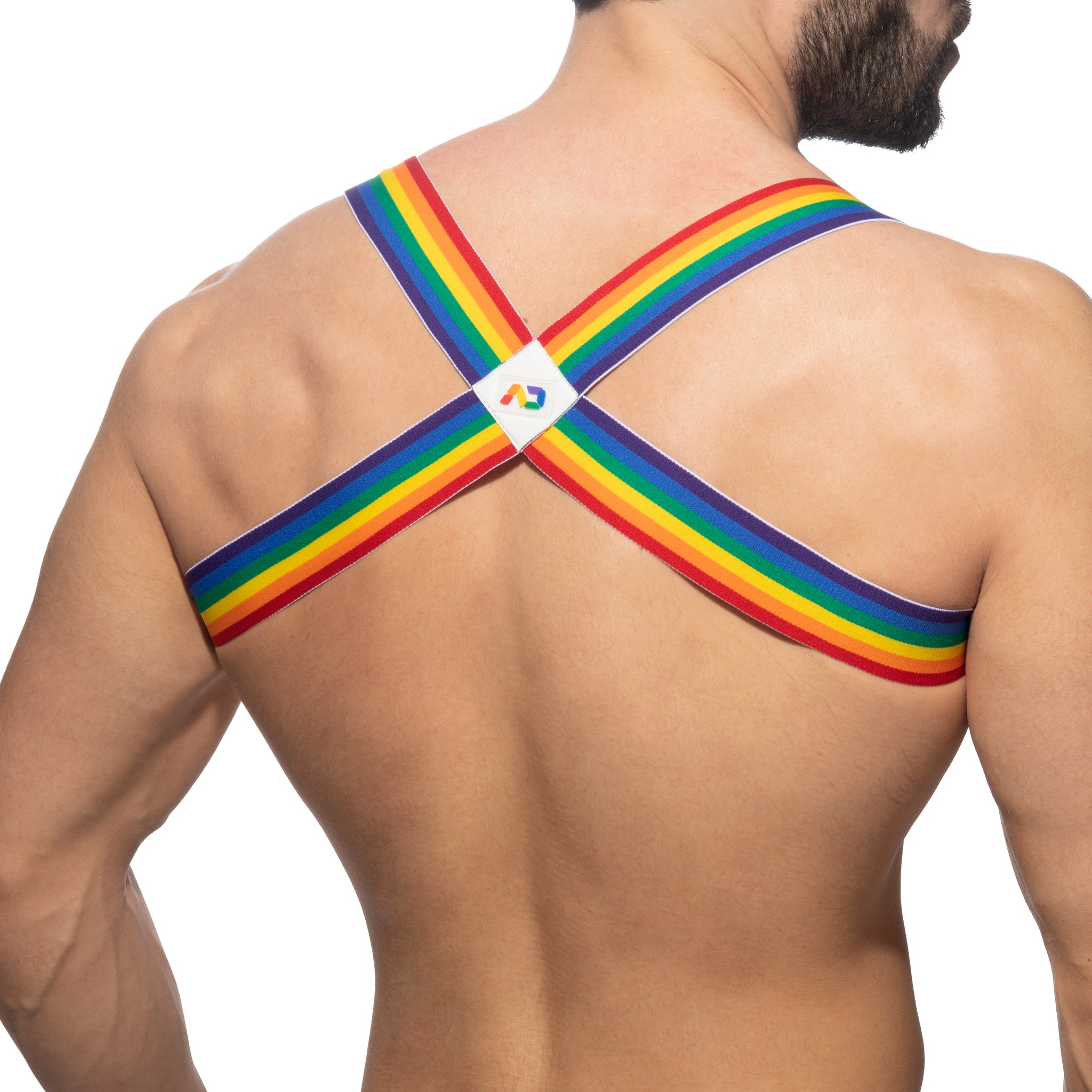 Addicted Rainbow Spider Harness Rainbow AD1181