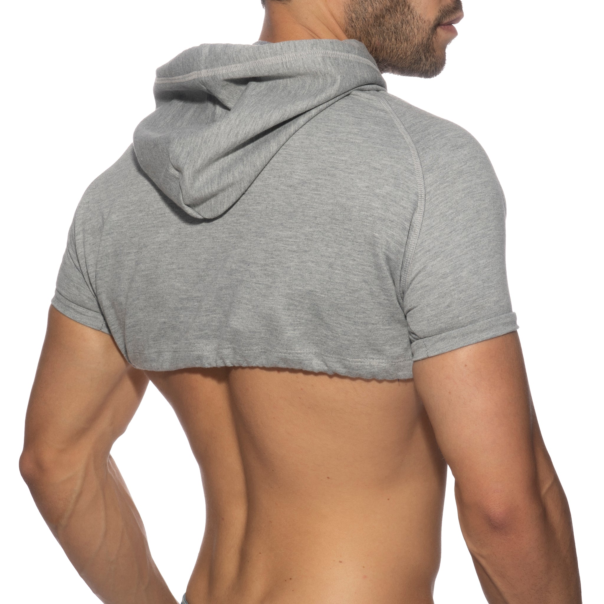 Addicted Crop Hoody Heather Grey AD1000