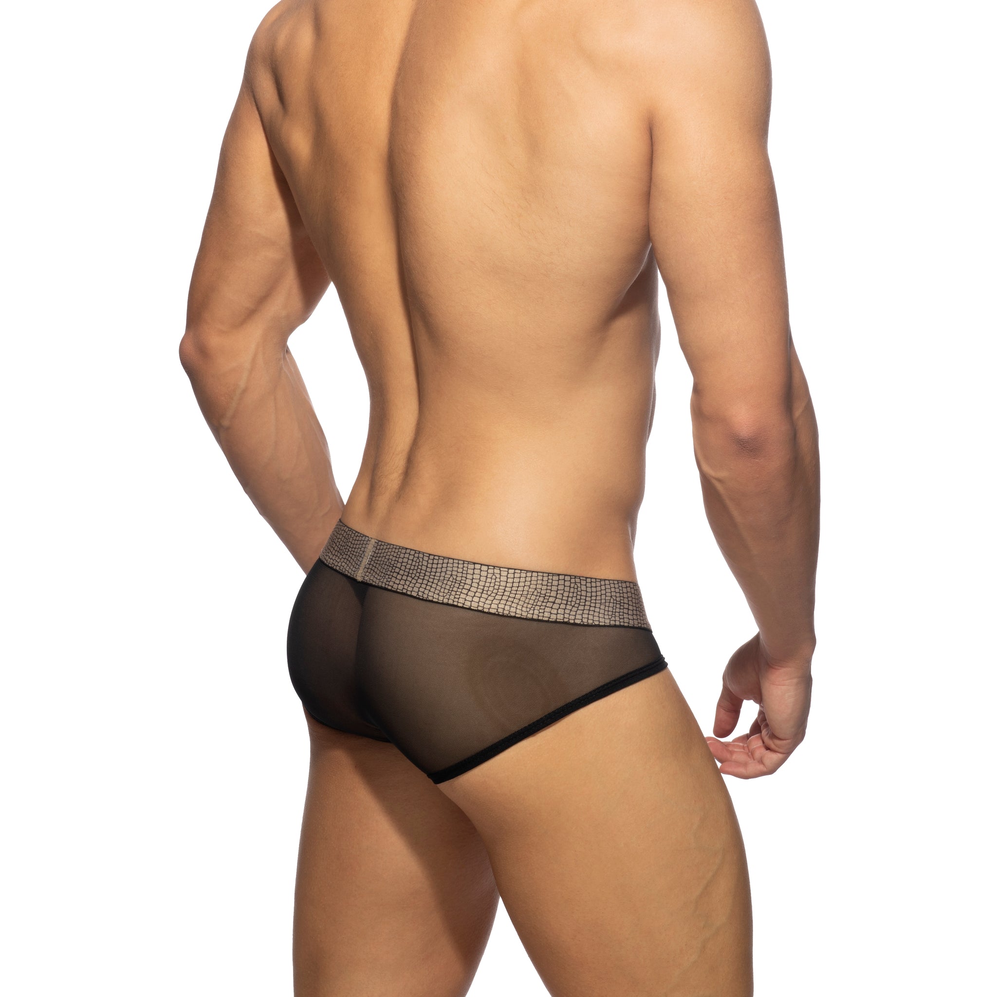 Addicted Snake Net Brief Black AD1015