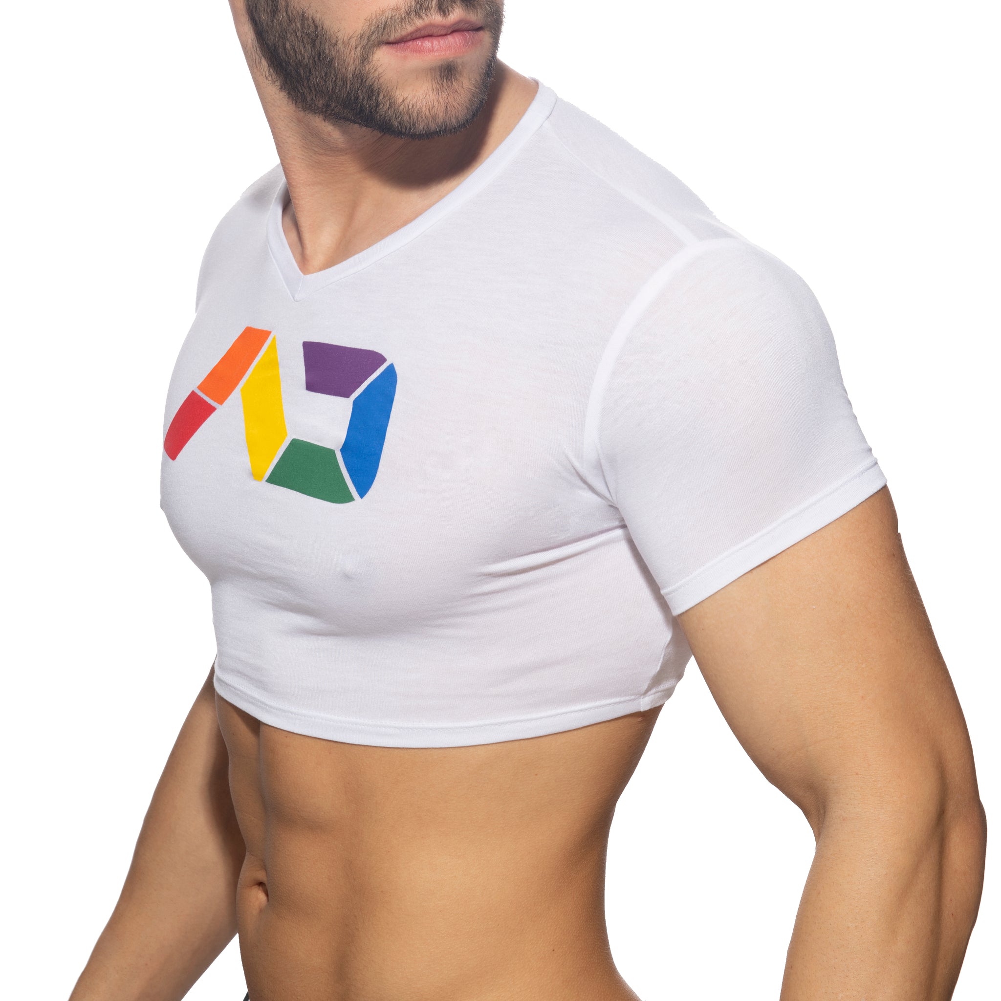 Addicted AD Rainbow Crop Top White AD1172