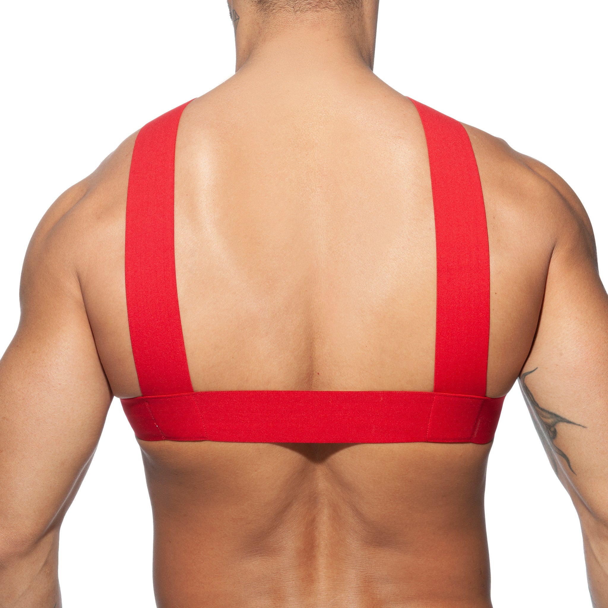 AD Fetish Double Ring Harness Red ADF116