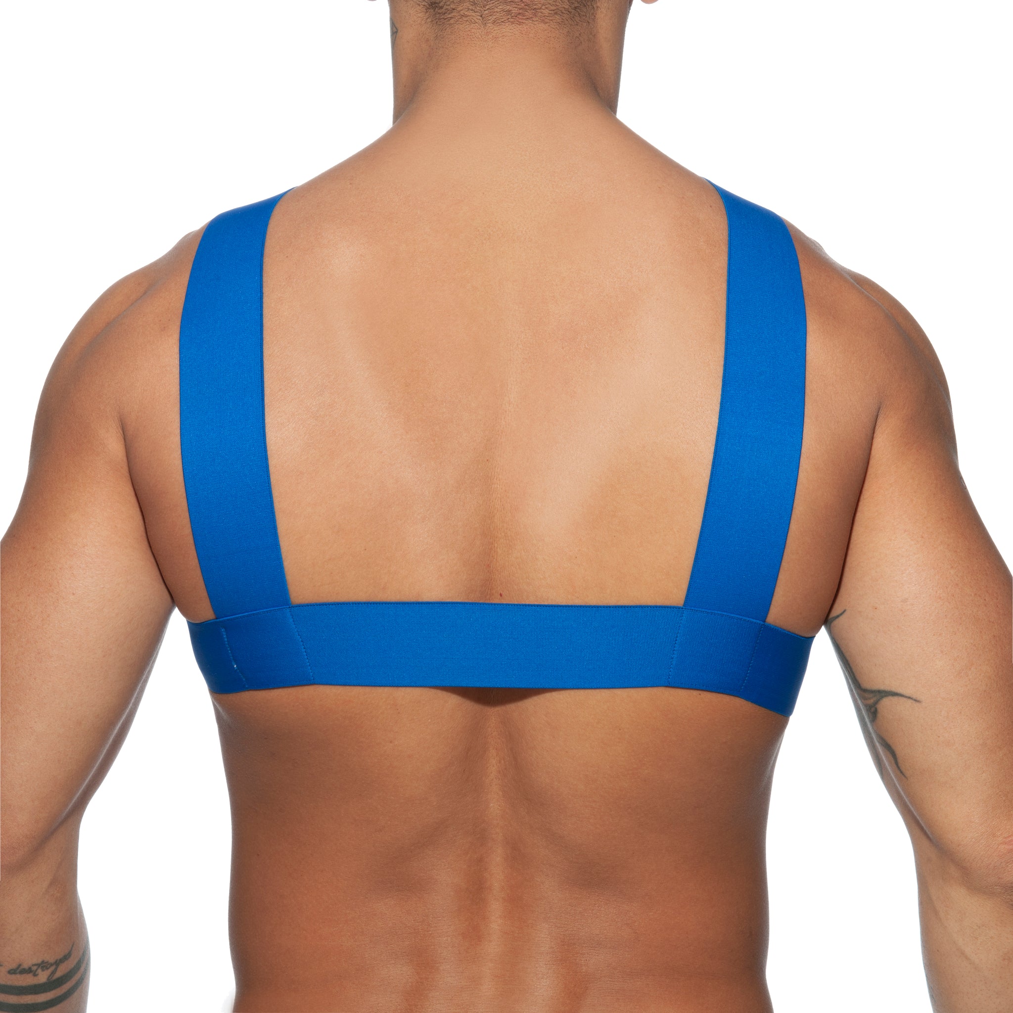 AD Fetish Double Ring Harness Royal Blue ADF116