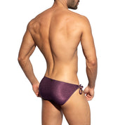 ES Collection Lurex Bikini Brief Aubergine 2315