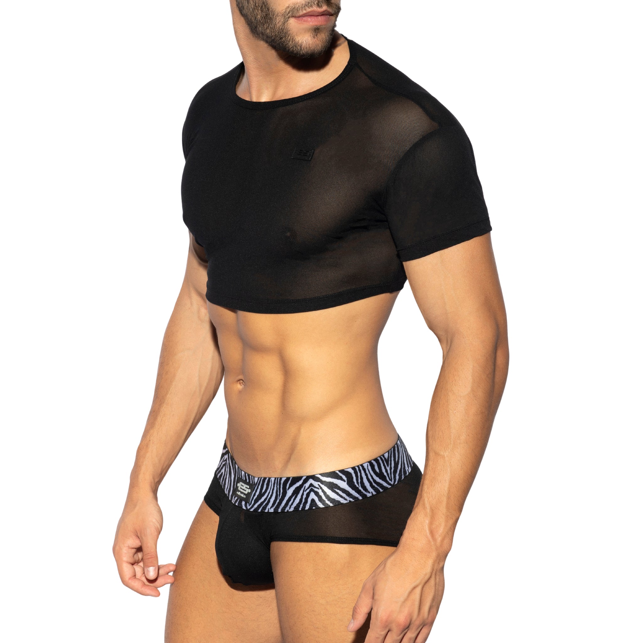 ES Collection Net Crop Top Black TS293