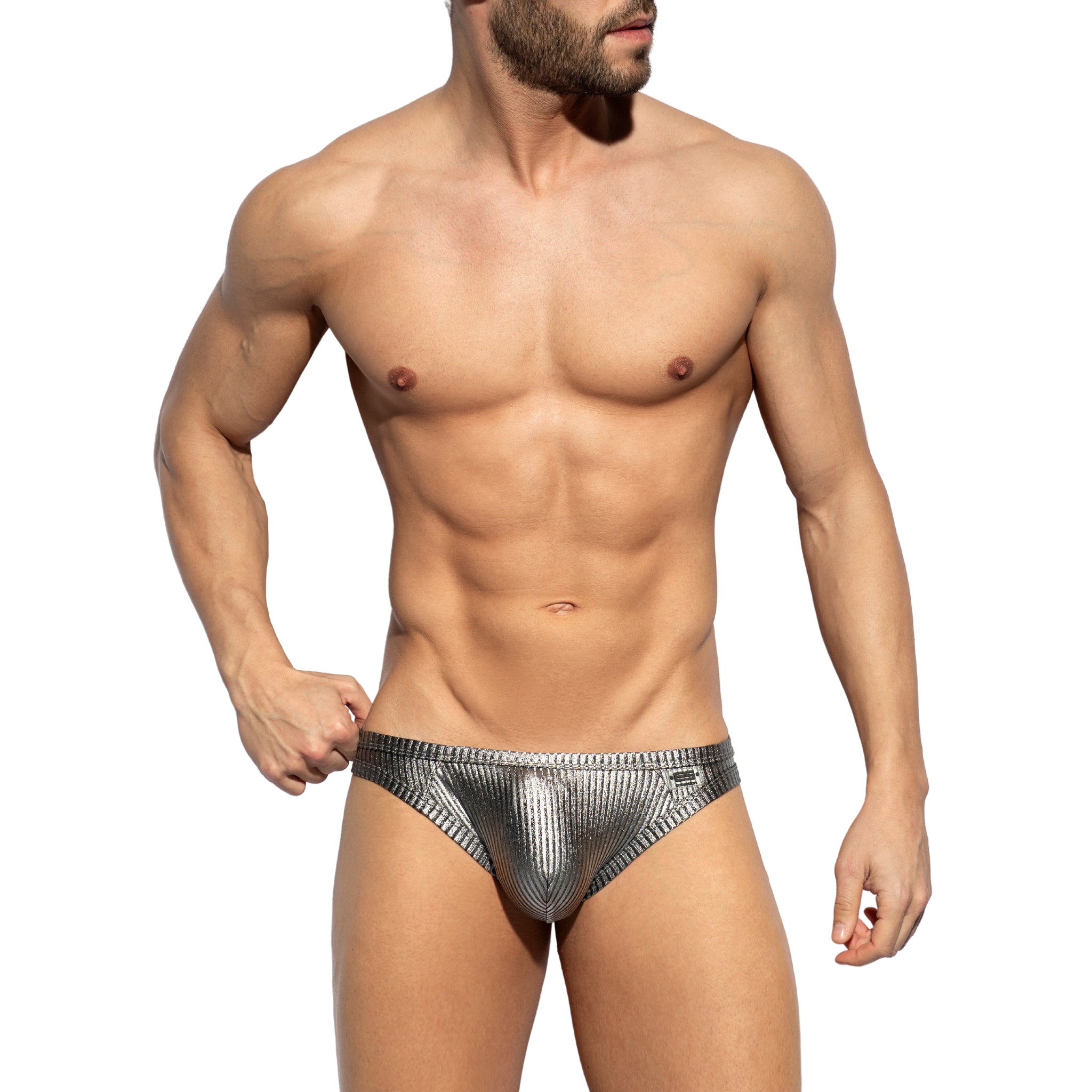 ES Collection Art Deco Metallic Brief Silver UN597