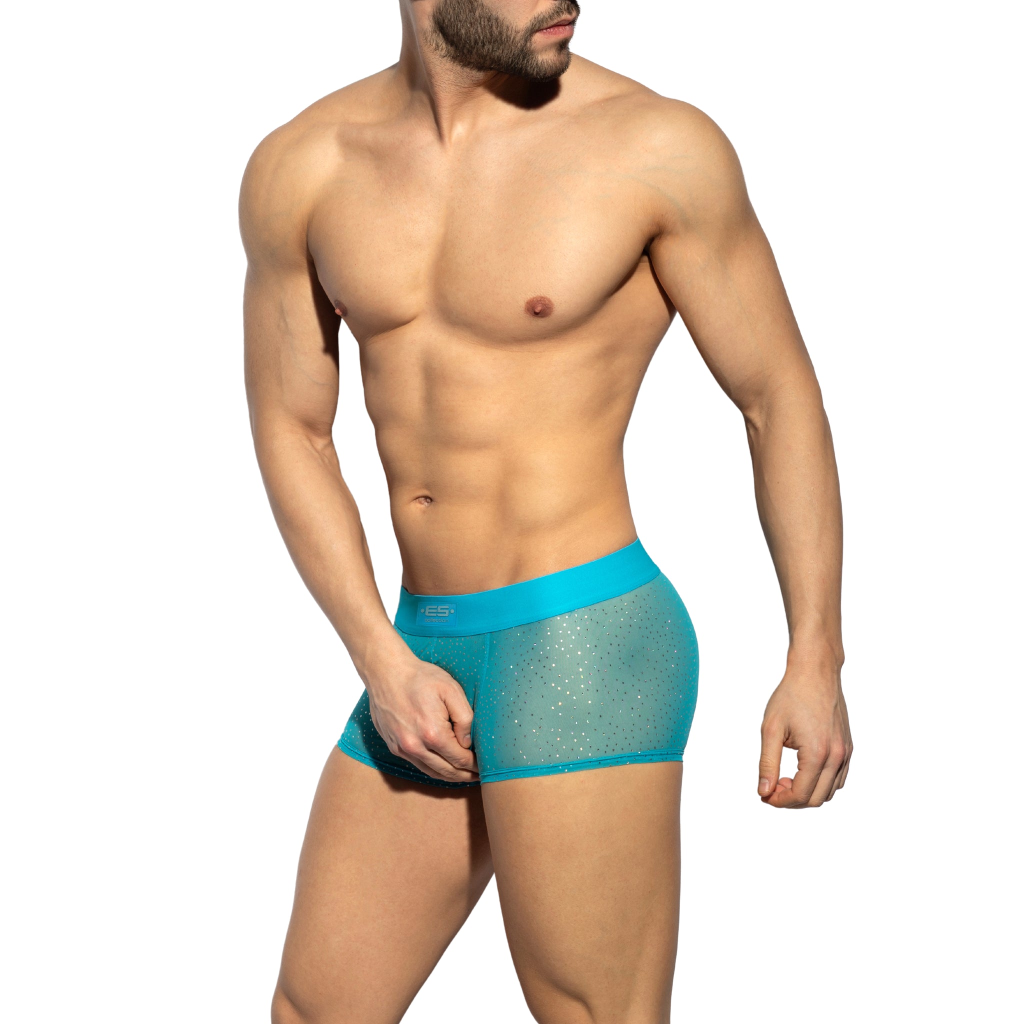 ES Collection Glitter Net Trunk Turquoise UN584