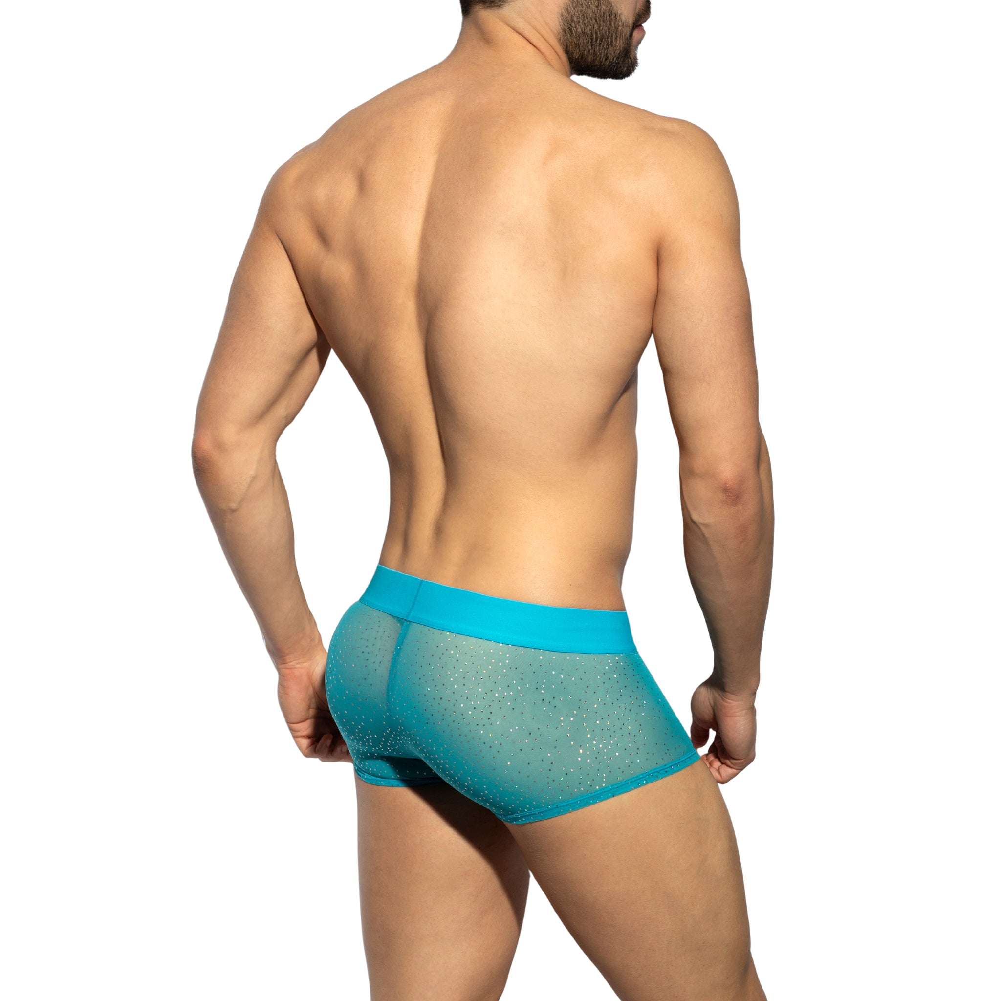 ES Collection Glitter Net Trunk Turquoise UN584