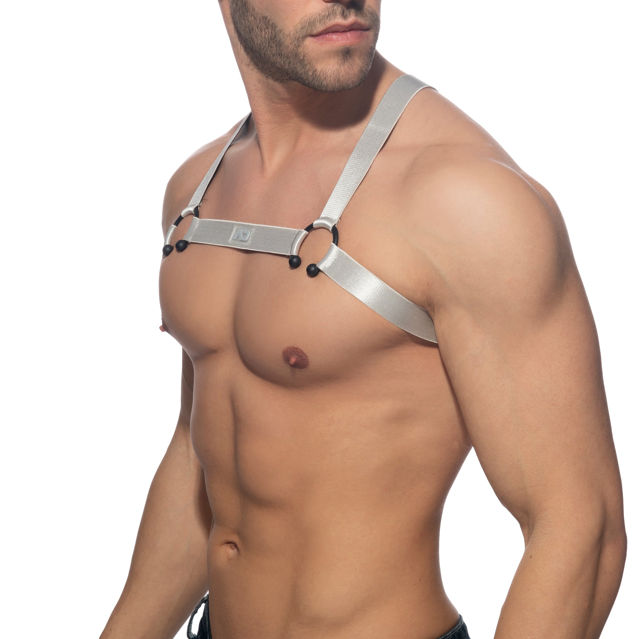 Addicted Bull Ring Harness Silver AD1080