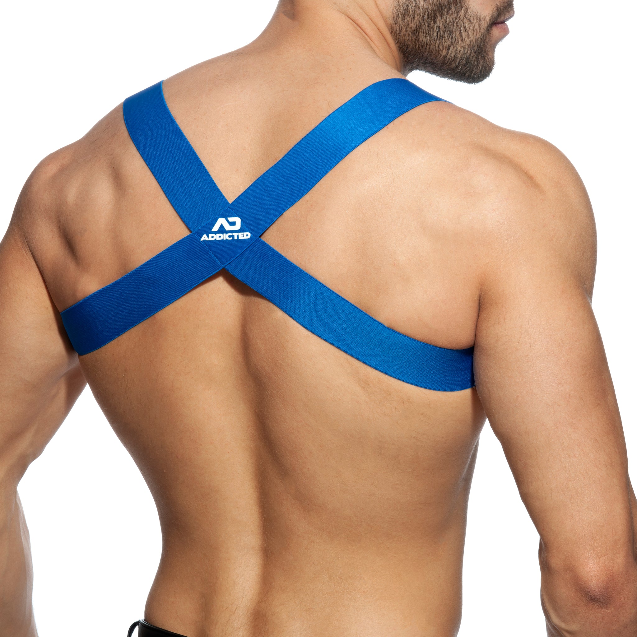 Addicted Spider Harness Royal Blue AD814