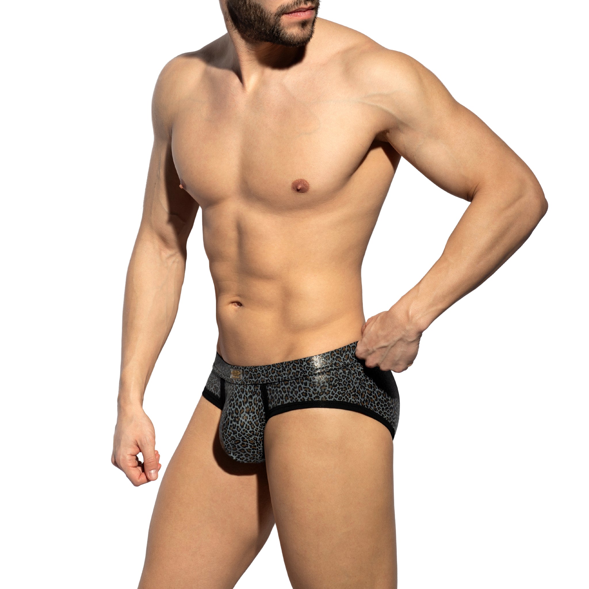 ES Collection Shiny Leopard Print Brief Charcoal UN579