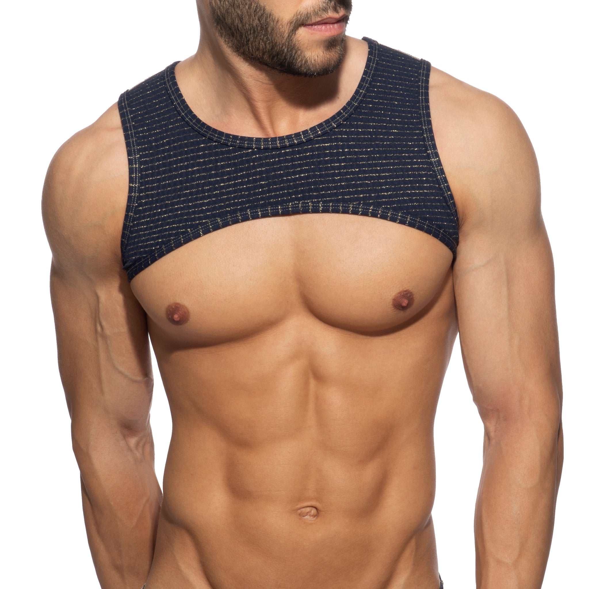 Addicted Reversible Regal Harness Navy AD1304