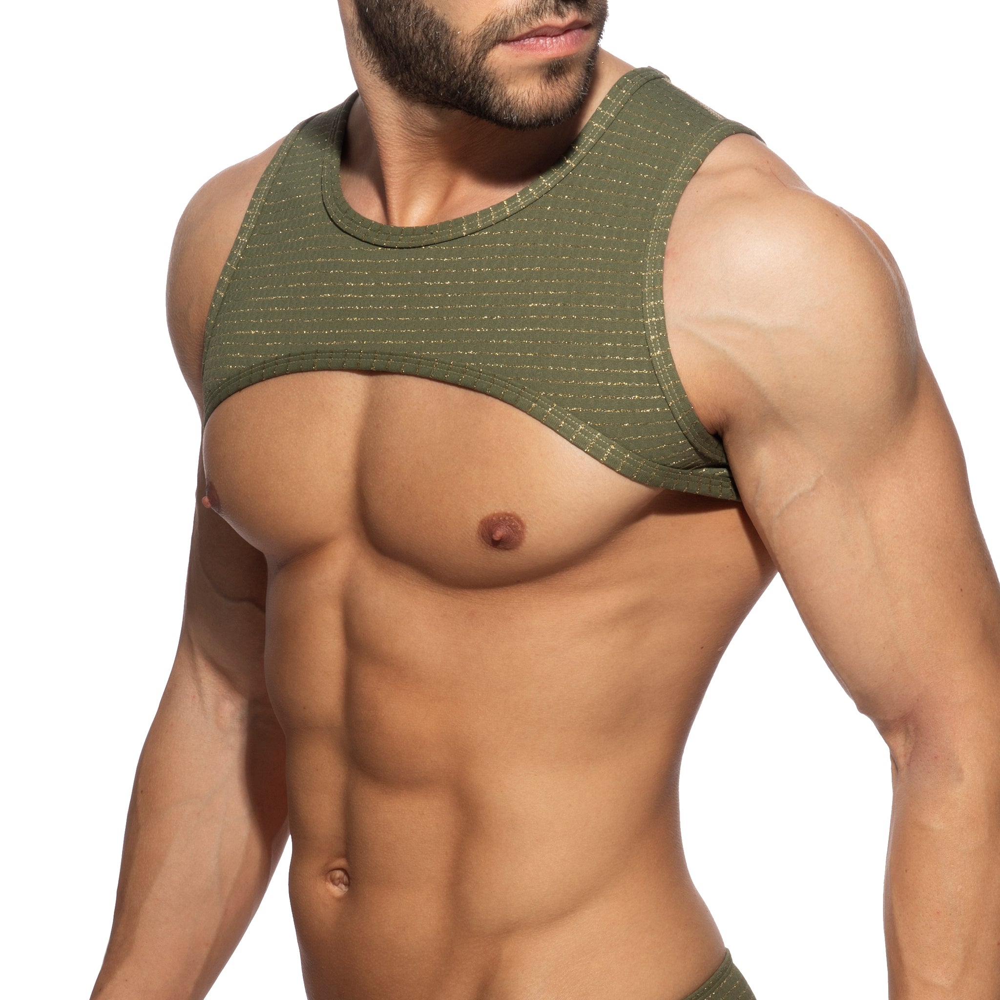 Addicted Reversible Regal Harness Khaki AD1304