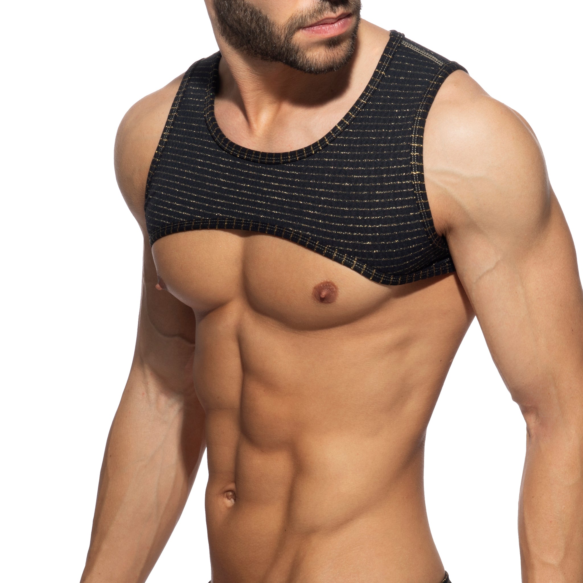 Addicted Reversible Regal Harness Black AD1304