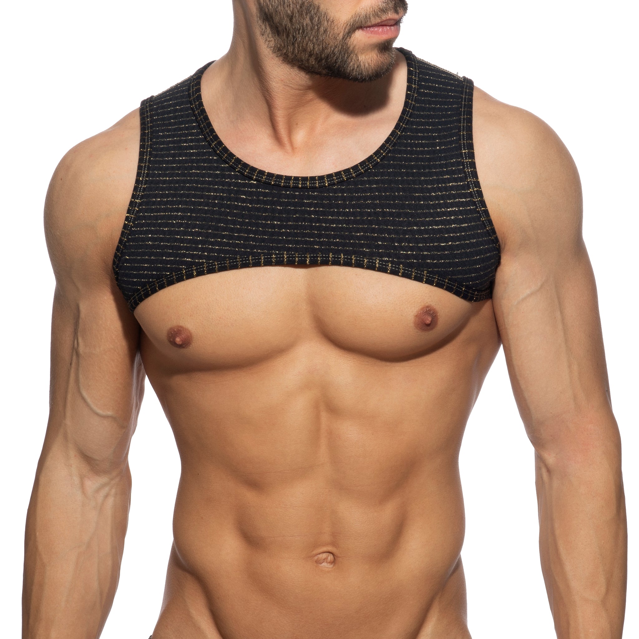 Addicted Reversible Regal Harness Black AD1304