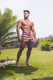 ES Collection Multi Stripes Swim Shorts Multi 2304