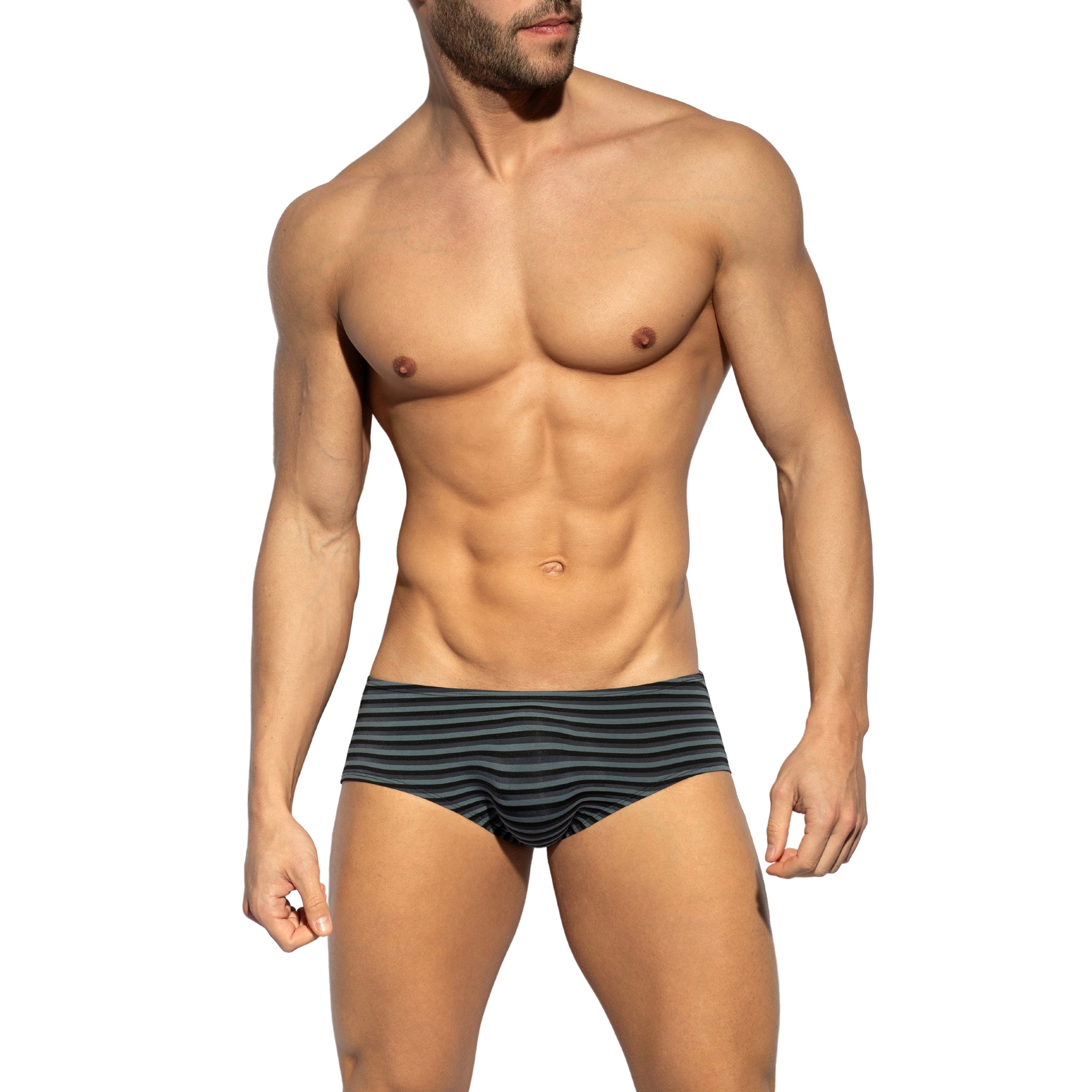 ES Collection Grey Stripes Brief Black UN614