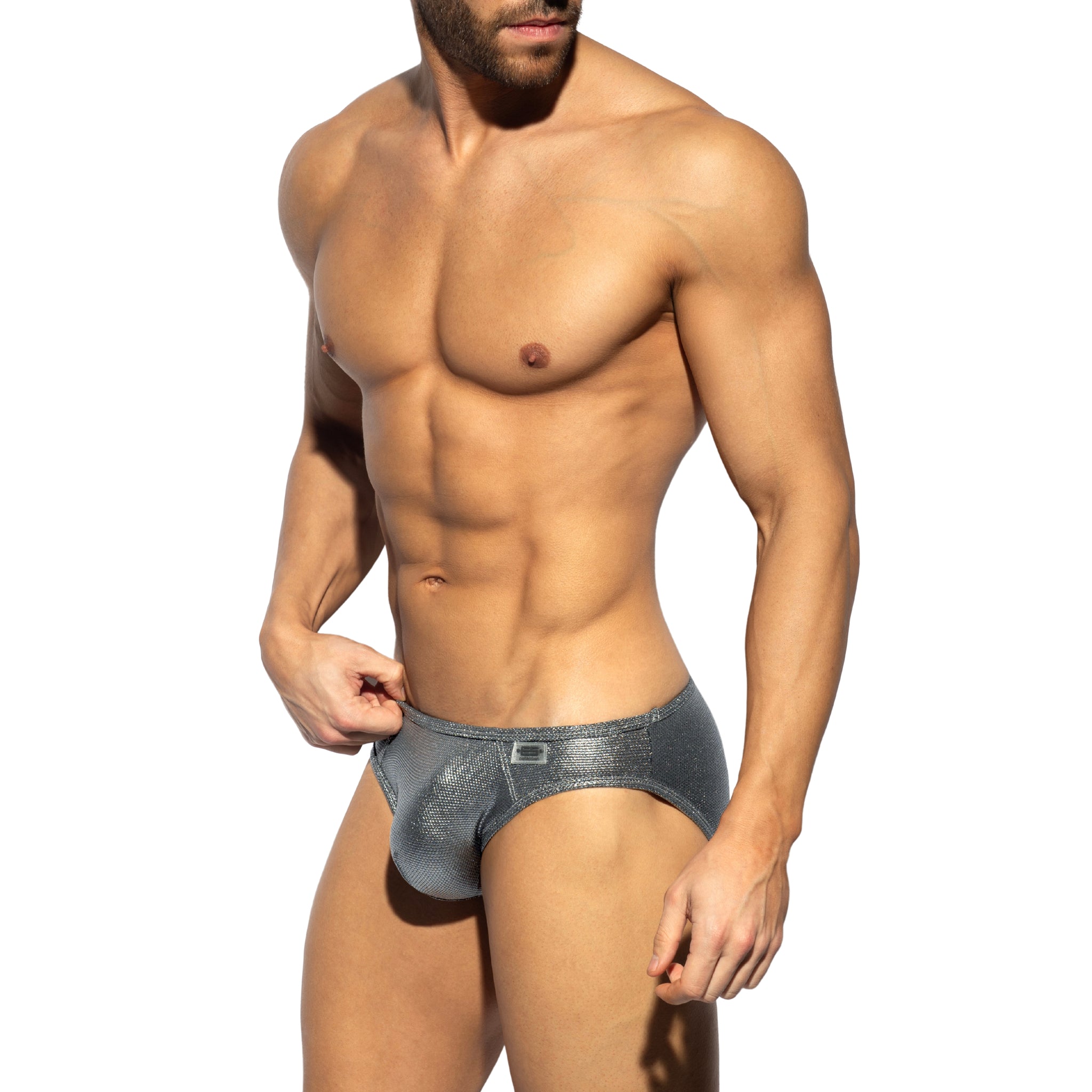 ES Collection Imperial Bikini Brief Silver UN629
