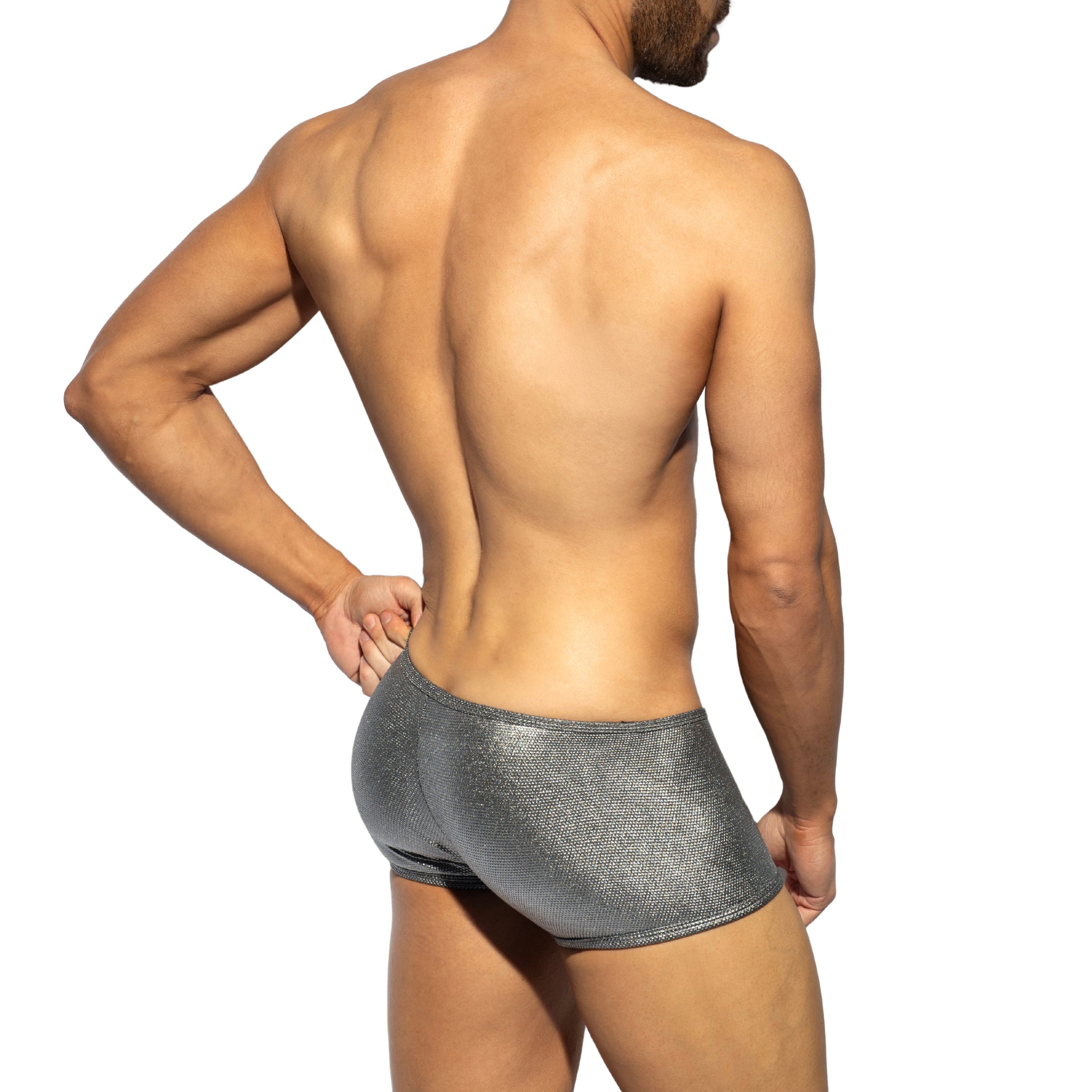 ES Collection Imperial Trunk Silver UN630