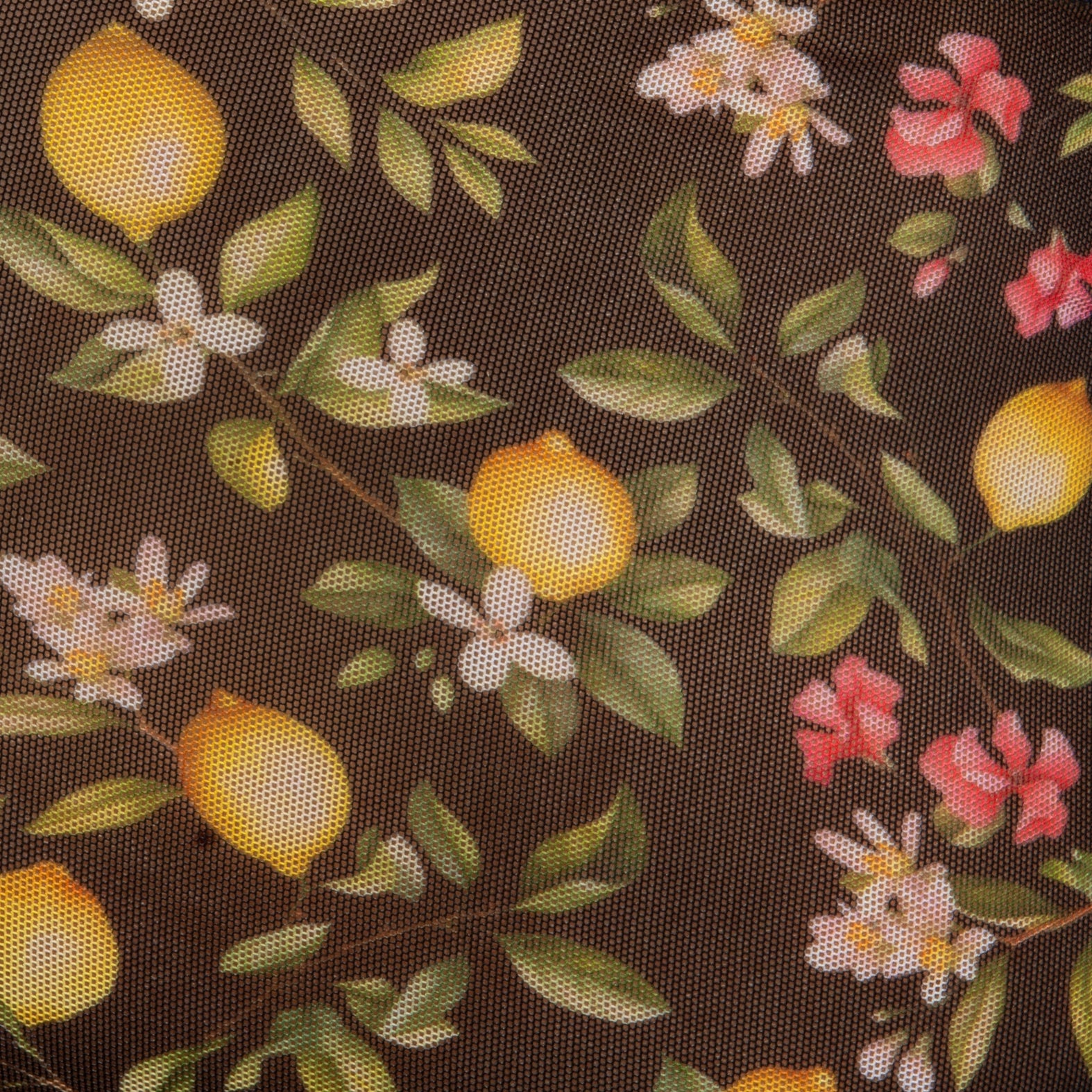 Addicted Lemon Garden Trunk Black AD1372
