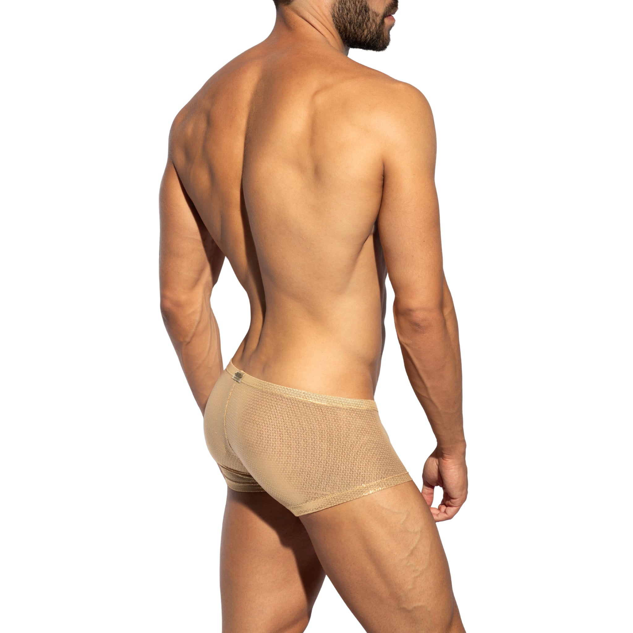 ES Collection Radiant Gold Trunk Beige UN635