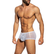 ES Collection Radiant Gold Trunk White UN635