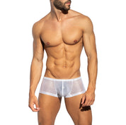 ES Collection Radiant Gold Trunk White UN635