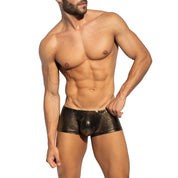ES Collection Radiant Gold Trunk Black UN635
