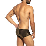 ES Collection Radiant Gold Trunk Black UN635