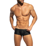 ES Collection C-Through Bee Nest Trunk Black UN648