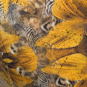 ES Collection Safari Bikini Brief Yellow UN645